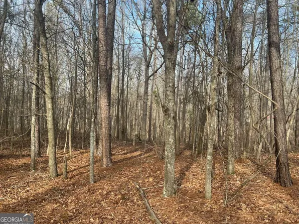381AC Rocky Branch Hollow Rd, Nicholson, GA 30565