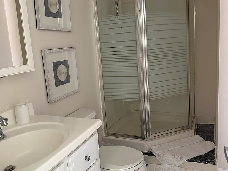 Stall shower /bathroom within primary bedroom
