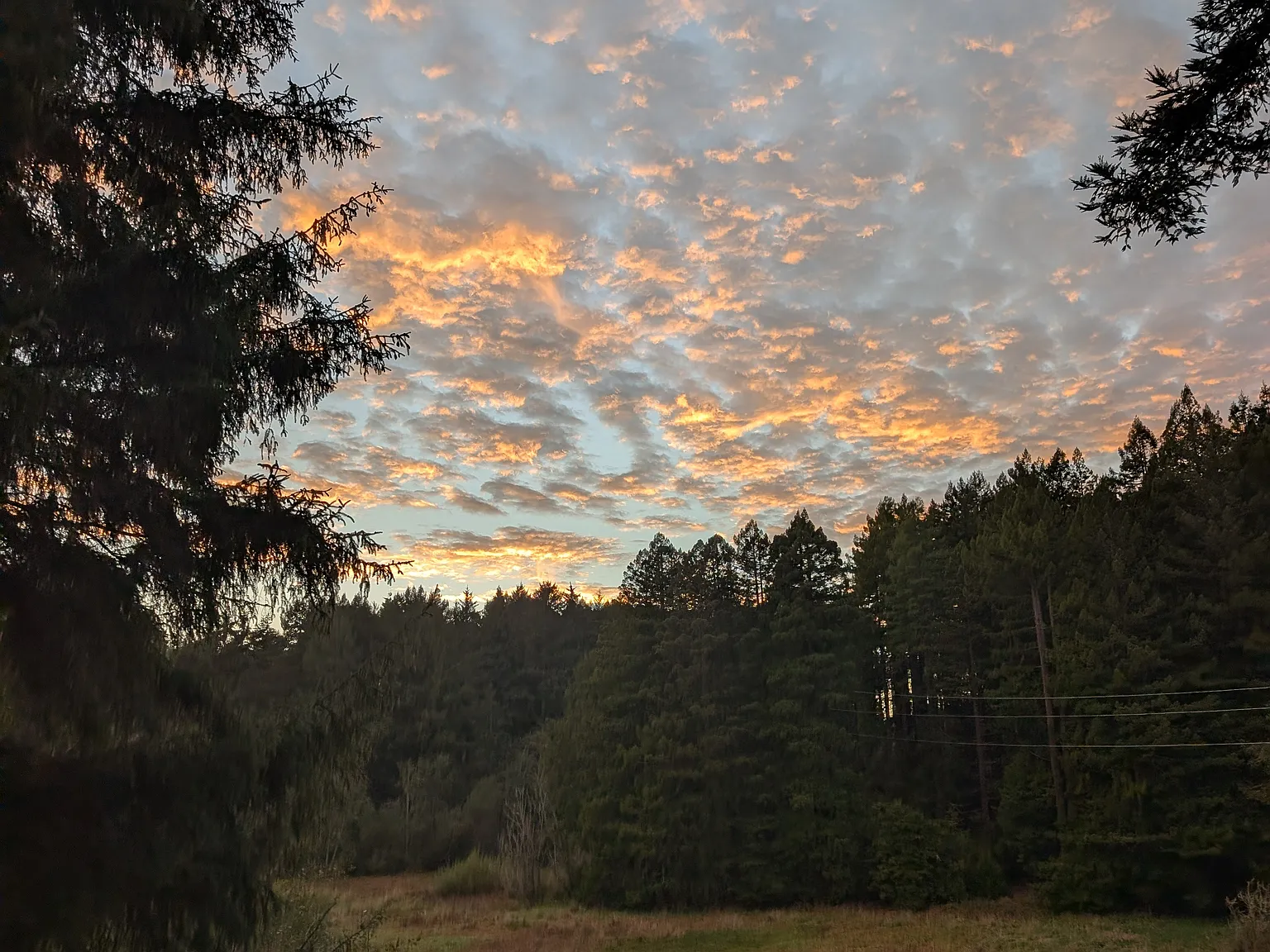 Vista Dr, Eureka — Photo 2