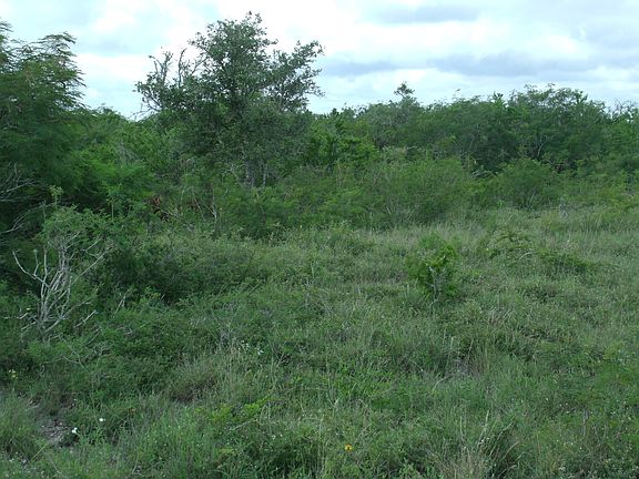 3rd image of CR 121