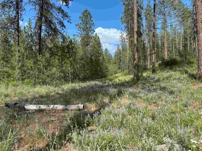 Nka Lower Weaver Way Lot C, Deer Park, WA, 99006