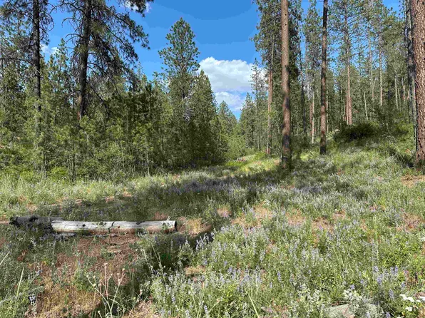 Nka Lower Weaver Way Lot C, Deer Park, WA 99006