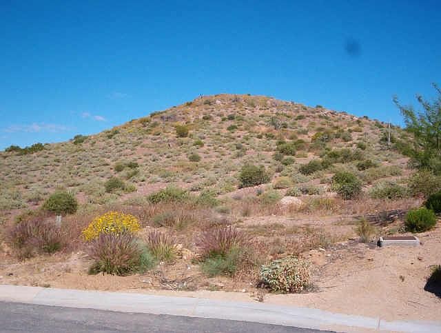 2nd image of 11307 E PINON Drive #62