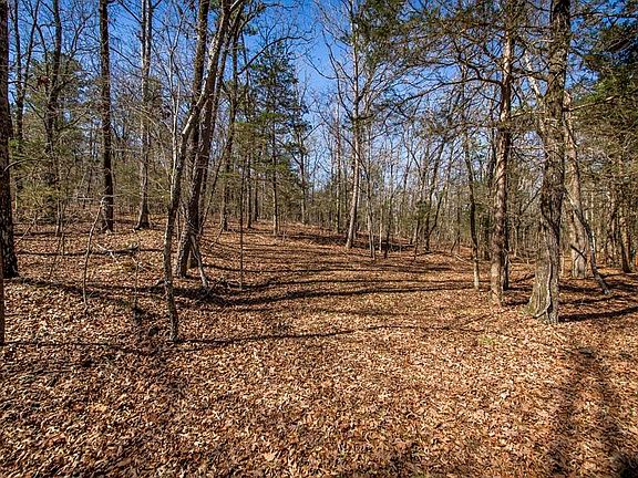 2nd image of 0 Whipporwill Ln