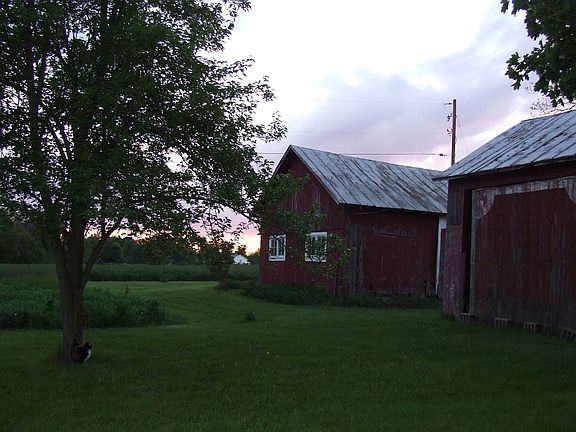 Barn Storage/Pear tree