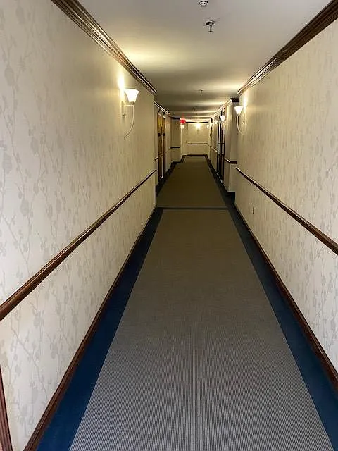 1 bed, 800 sqft, $3,195 — Photo 3