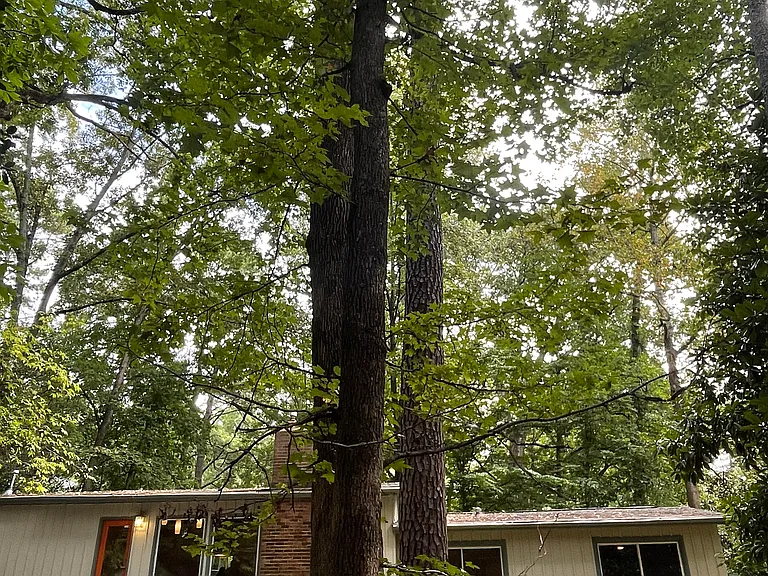 2338 Tanglewood Cir NE — Photo 42