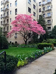 Rented by Bank Neary
