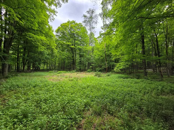 TBD State Route 209, Wurtsboro, NY 12790