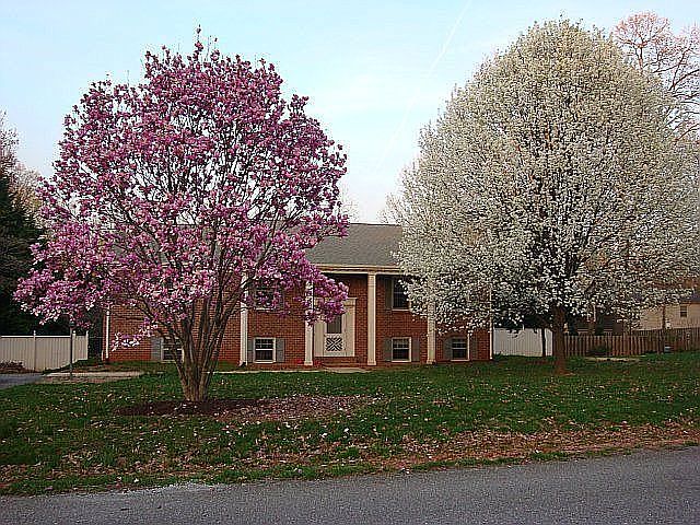 1st image of 304 College Park Dr