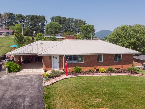 121 Iris Ln, Fall Branch, TN 37656