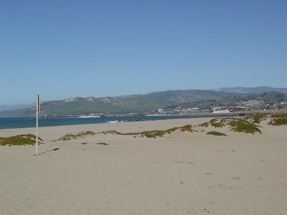5th image of 3047 E Harbor Blvd