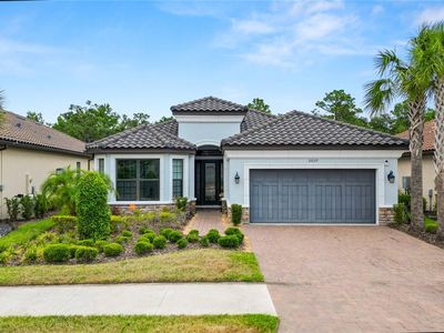 20159 Umbria Hill Dr, Tampa, FL, 33647
