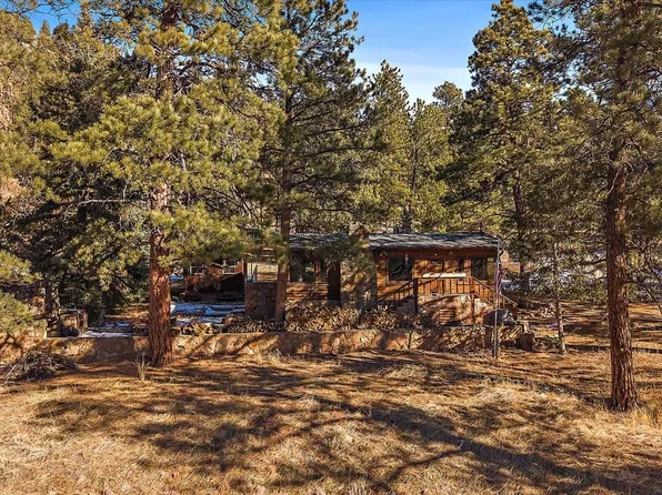 121 Mary Beth Road, Evergreen, CO 80439