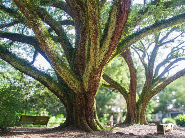 (undisclosed Address), Fairhope, AL 36532