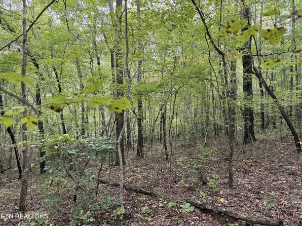 0 High Pl Lot 16, Monterey, TN 38574