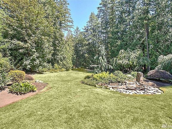 Backyard goes on forever!