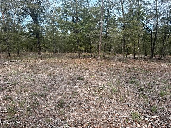 4th image of 13111 Timbercrest Rd