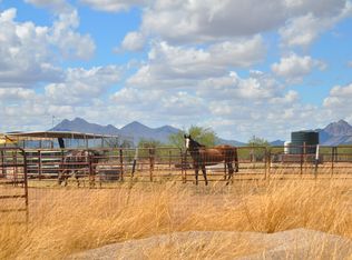 17365 W El Camino De Tres Arroyos, Marana, AZ 85653