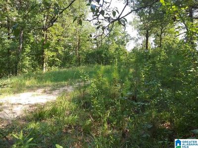 County Road 111, Montevallo, AL, 35115