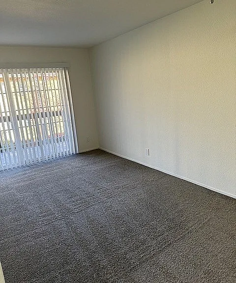WB 203 Living Room Carpet