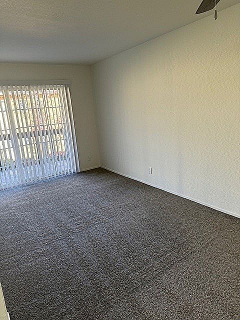 WB 203 Living Room Carpet