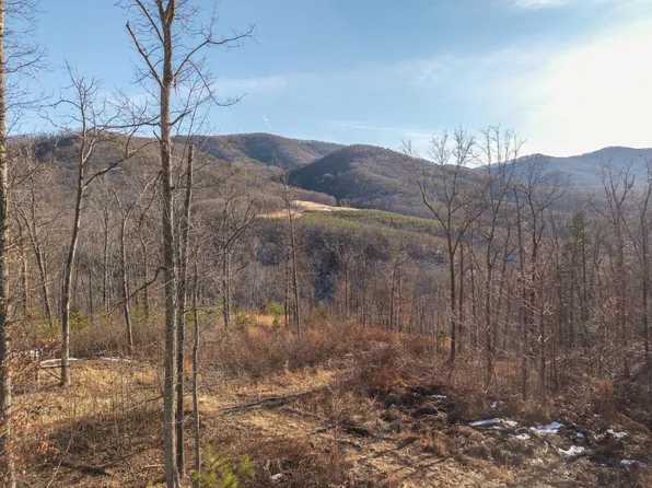 0 Middle Mountain Rd, Covington, VA 24426