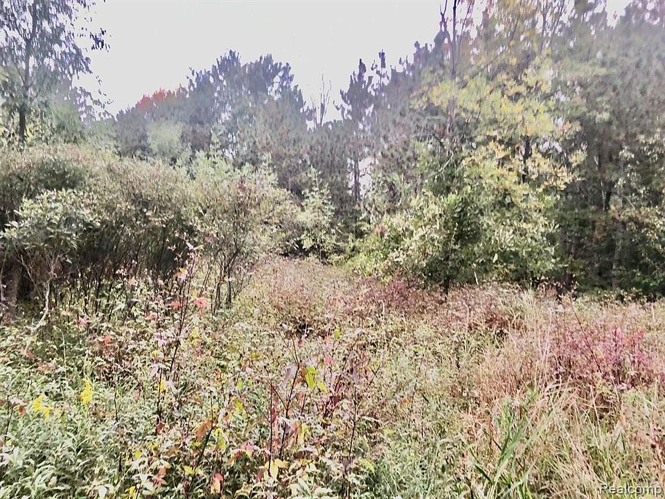 PARCEL Brown City Rd Imlay City, MI, 48444 Apartments for Rent Zillow