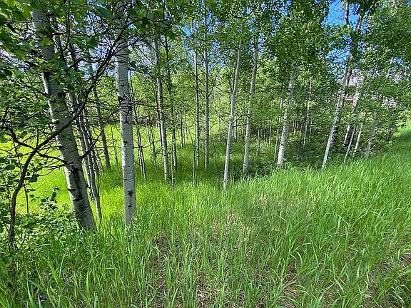 3rd image of 84 Aspen Way