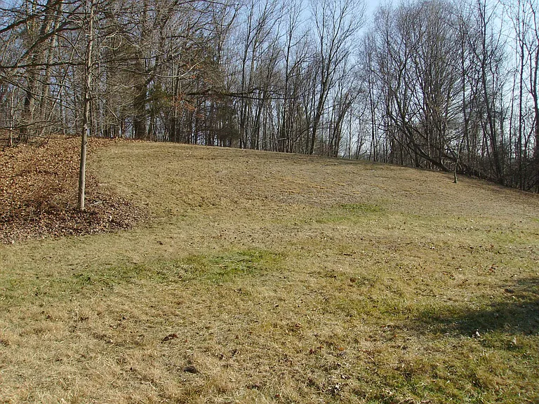 backyard in fall setting