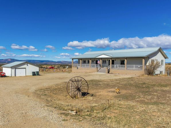 33160 Highway 145, Redvale, CO 81431