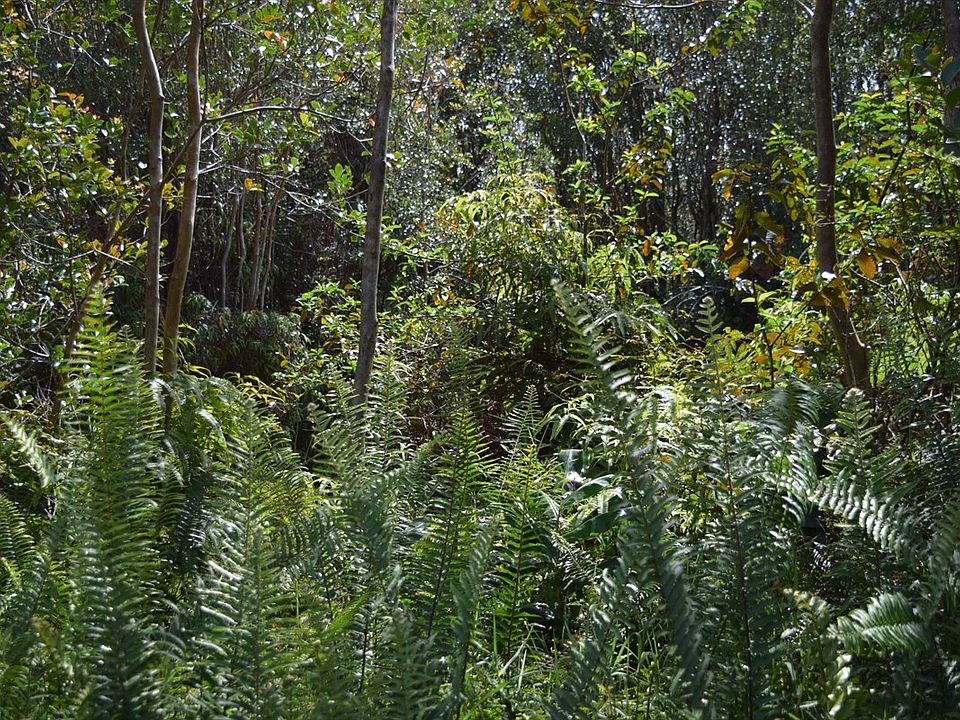 2nd image of Road 1 Lot 16