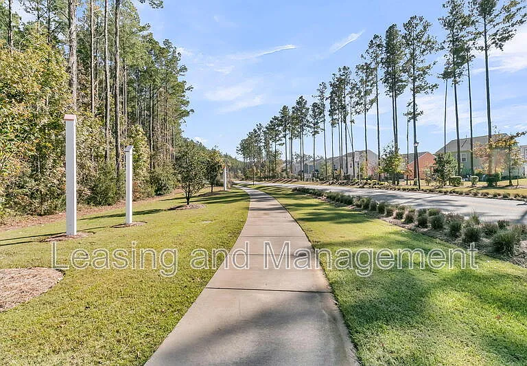 245 Summer Tanager Dr — Photo 60