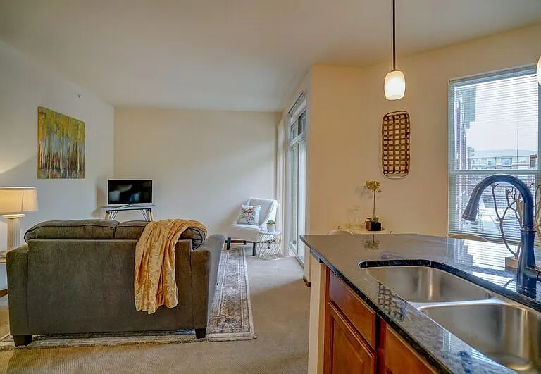 Reagan- Kitchen & Living Area