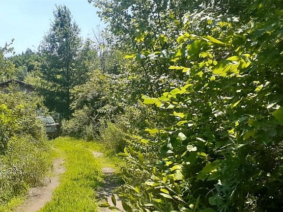 5th image of 229 Township Road 350