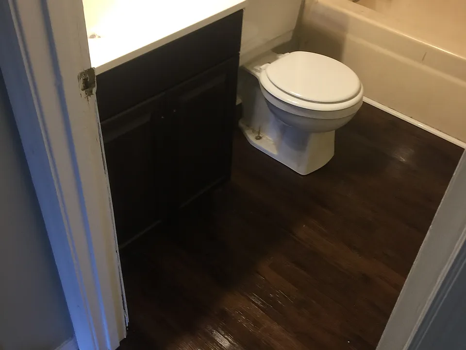 Bathroom Pic 2_06082018