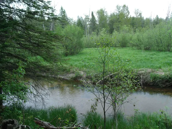 Spikehorn Trl, Indian River, MI 49749