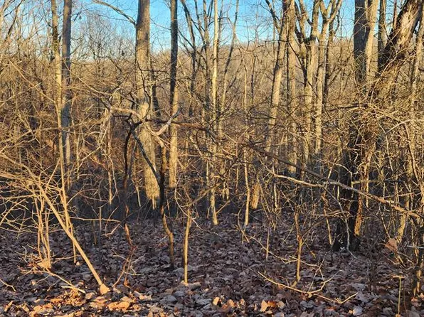 LOT 39 Charles Dr, Holladay, TN 38341