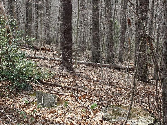 3rd image of 0 Wooded Valley Ln