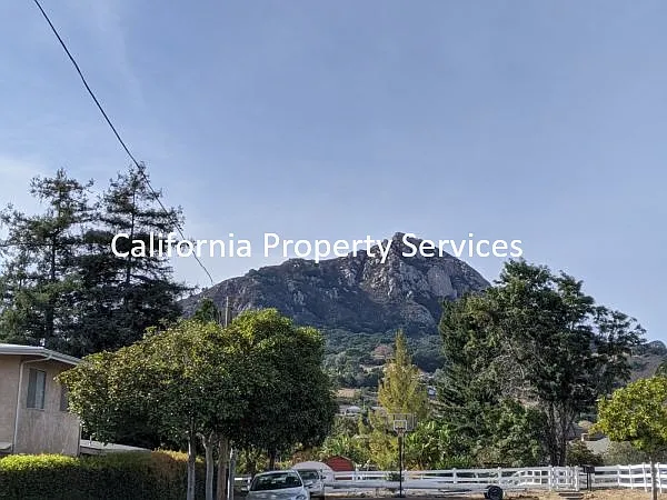 2 bed, $2,100 — Photo 3