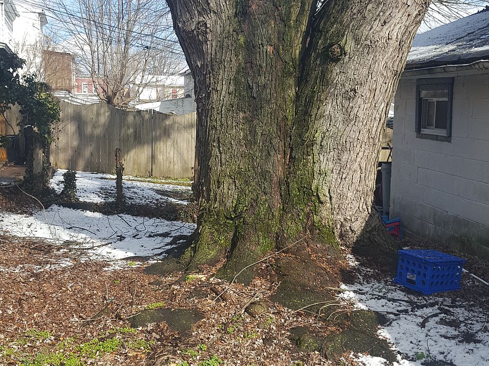 2nd image of 225 W Diamond St