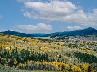 19 Fly Caster Ln, Silverthorne, CO 80498