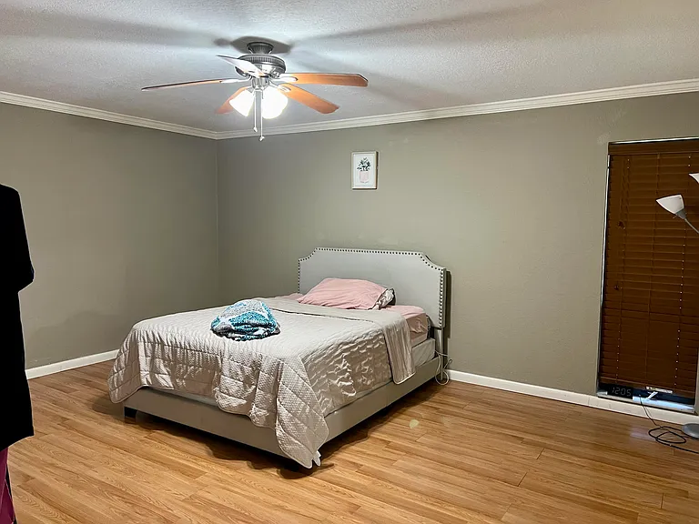 4075 Palm Forest Dr N — Photo 18