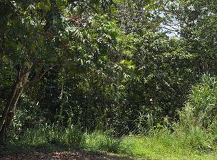 3 Km179 Carretera 152, Corozal, PR 00783