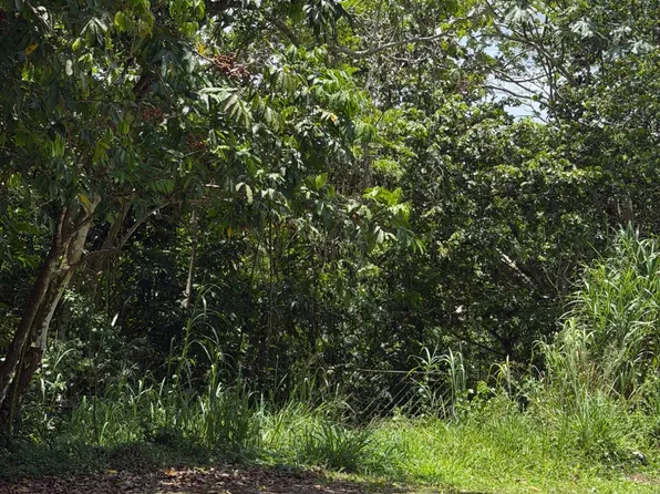 3 Km179 Carretera 152, Corozal, PR 00783