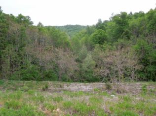 156.13 Ac. Clay County Hwy, Celina, TN 38551