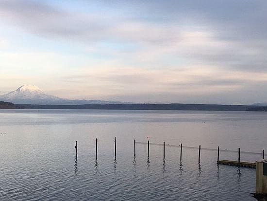 One of the many and always changing views - Mt. Rainier