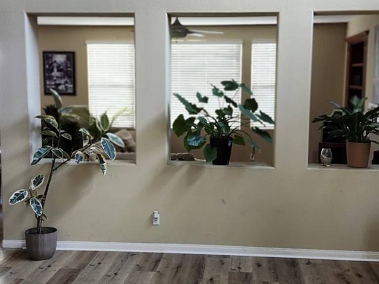 4873 Sea Coral Dr — Photo 7