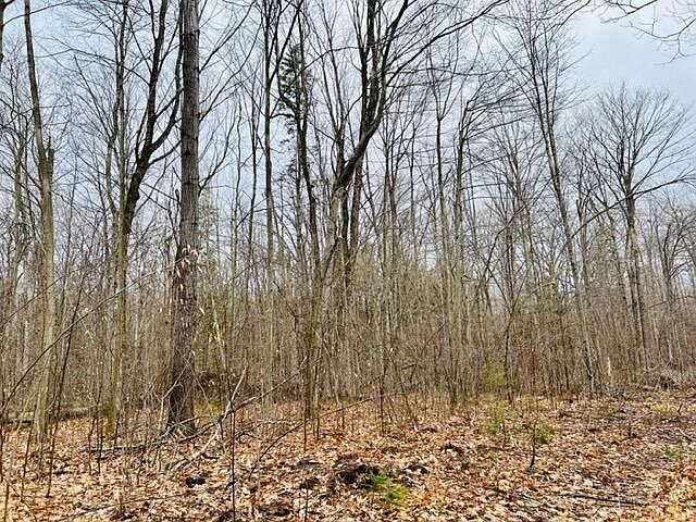 1st image of S Trillium Ln