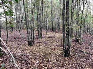 2333 Mulberry Rd, Brantley, AL 36009